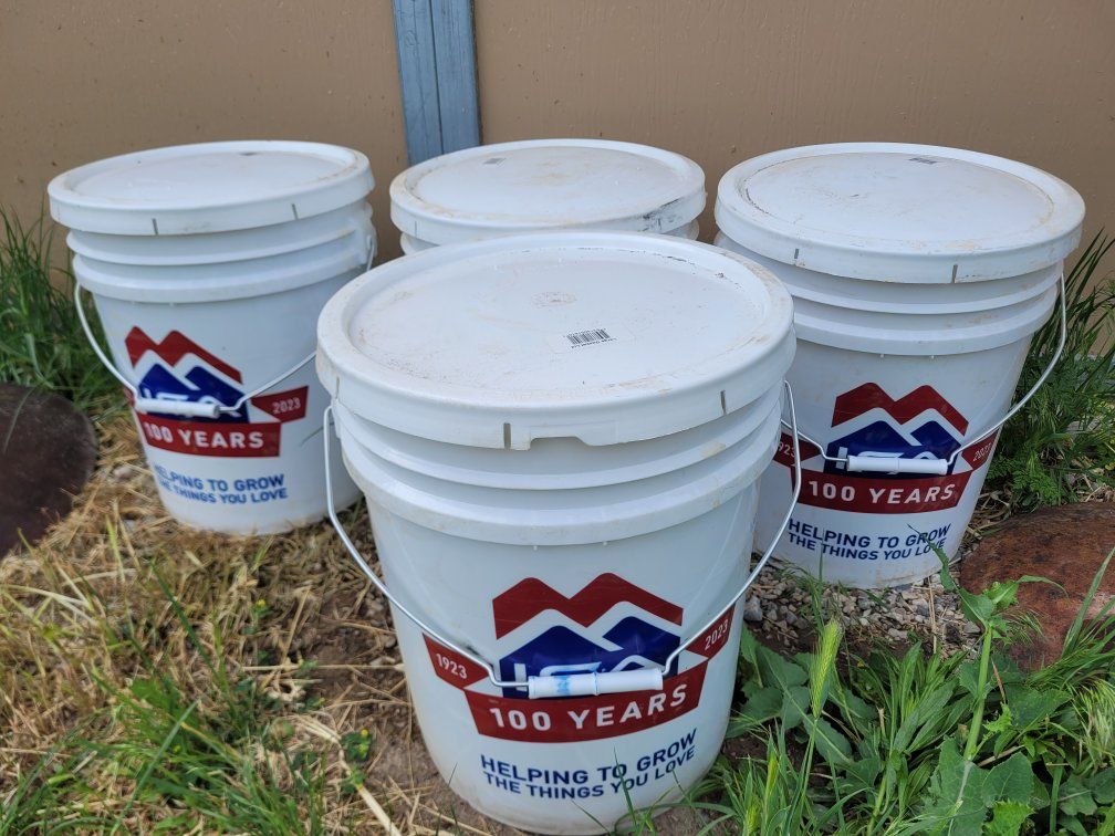 Bear Bait oil