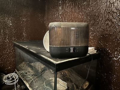 I am selling a reptile tank