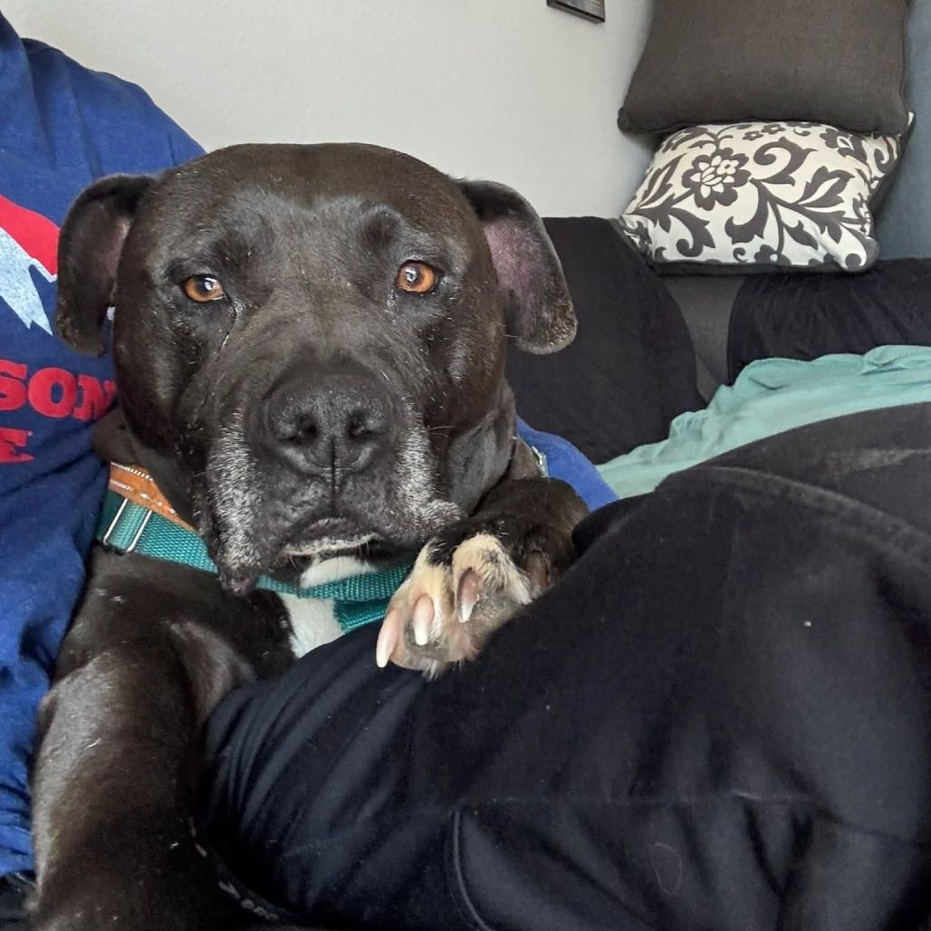 Main image 12