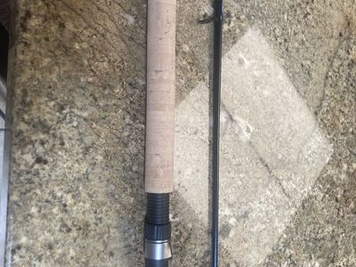 St croix triumph steelhead-salmon rod