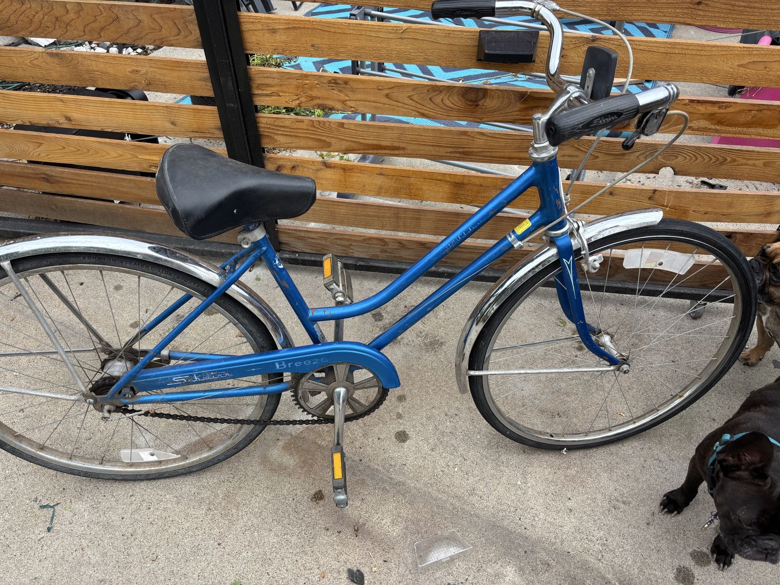 Vintage Blue Schwinn Breeze Cruiser – Chicago Built