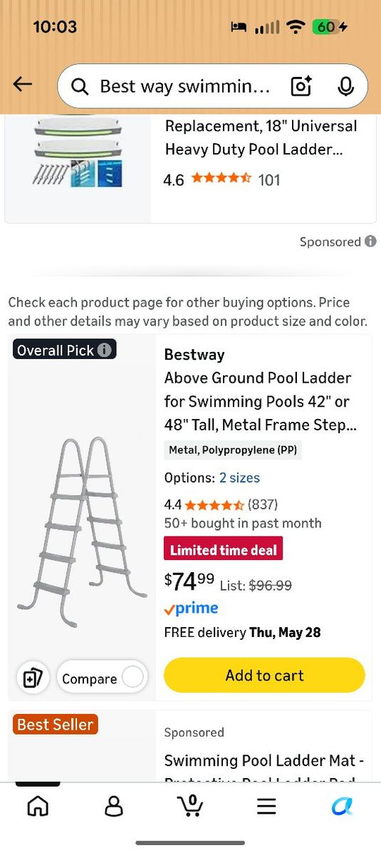 Bestway brand 18 foot pool cover and ladder