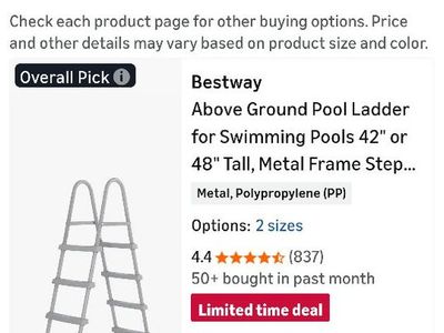Bestway brand 18 foot pool cover and ladder