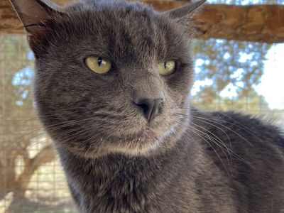 Hello my name is Poseidon