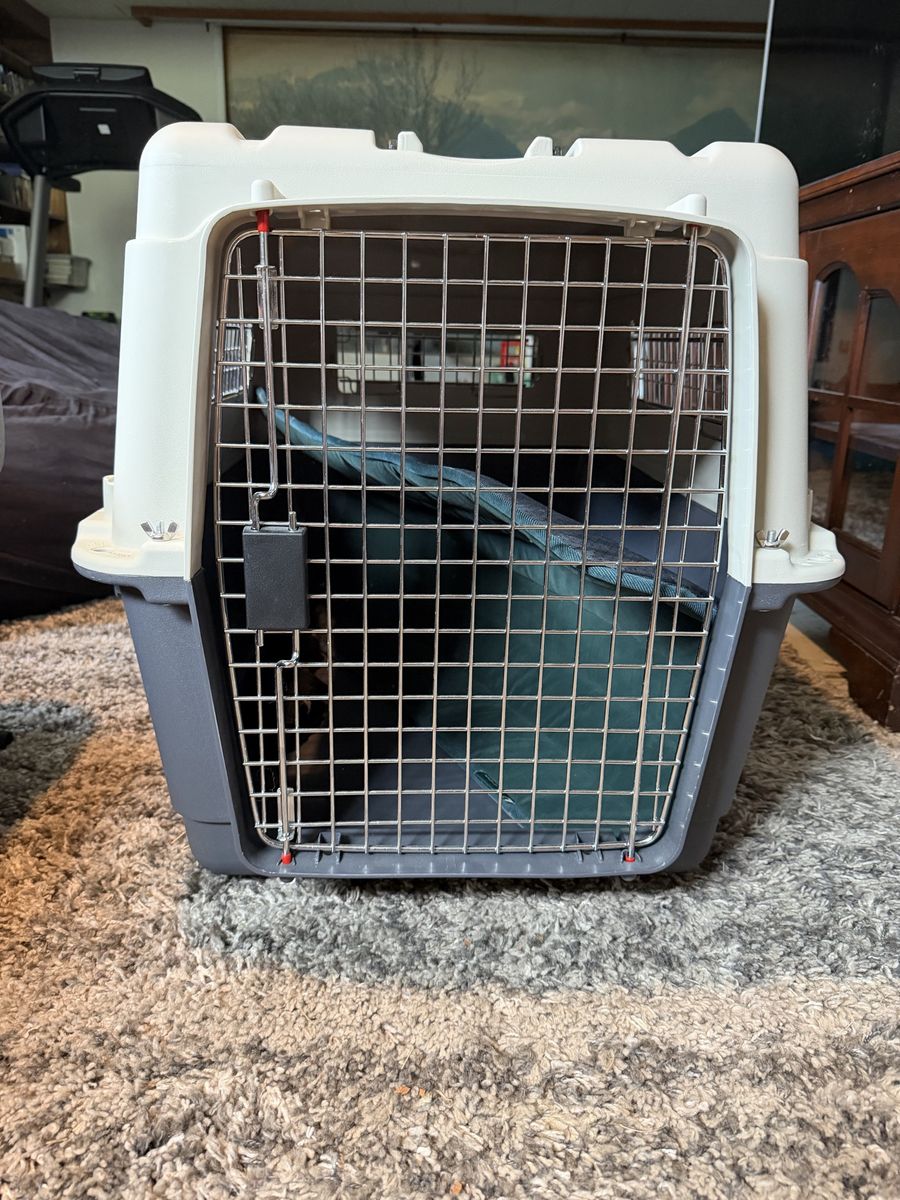 Medium Size Dog Crate