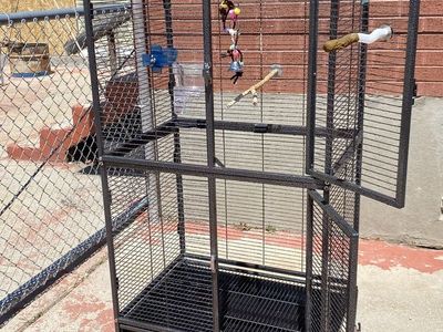 Tall bird/rodent cage