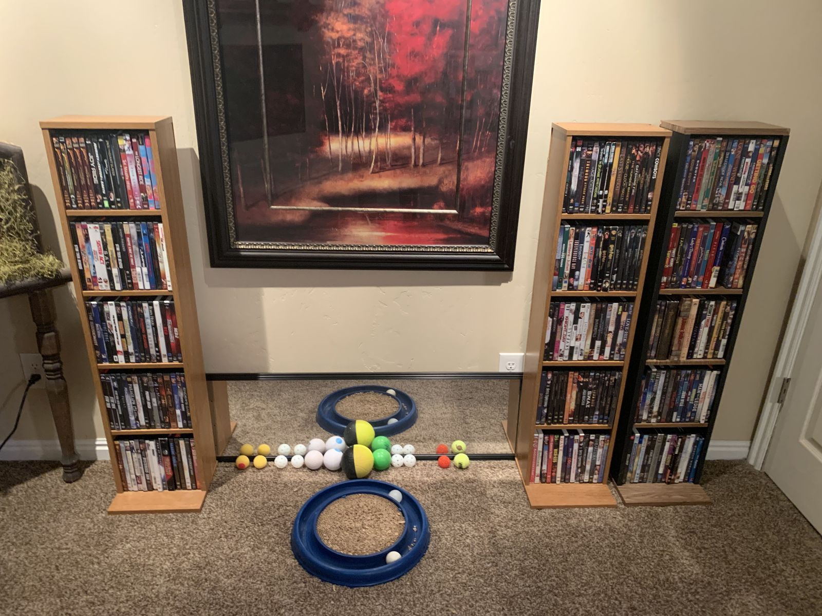 DVD collection