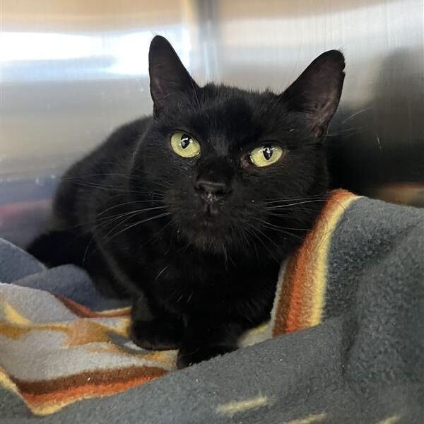 Hello my name is Rosaria