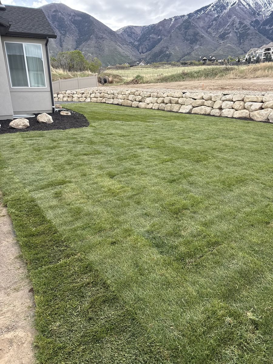 Sod Grass Kentucky Blue Grass