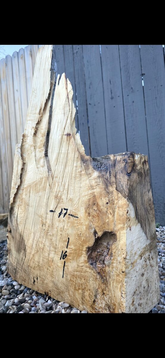 Burl wood blanks/ blocks $85 each