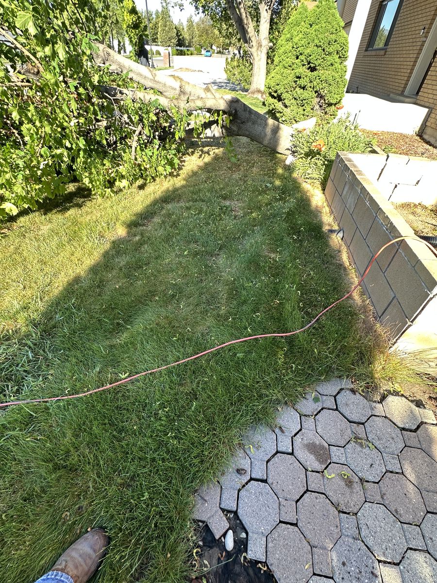 60 sq ft paver