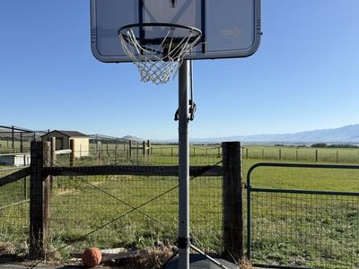 Lifetime Adjustable Basketball Hoop