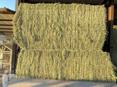 Alfalfa Hay