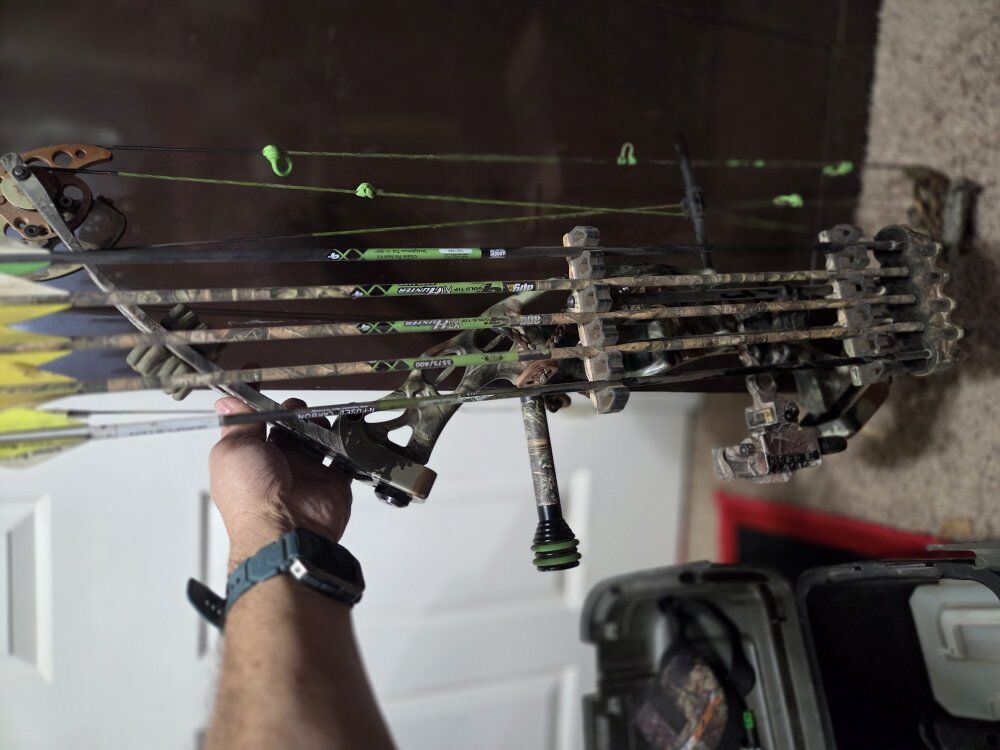 hoyt reflex