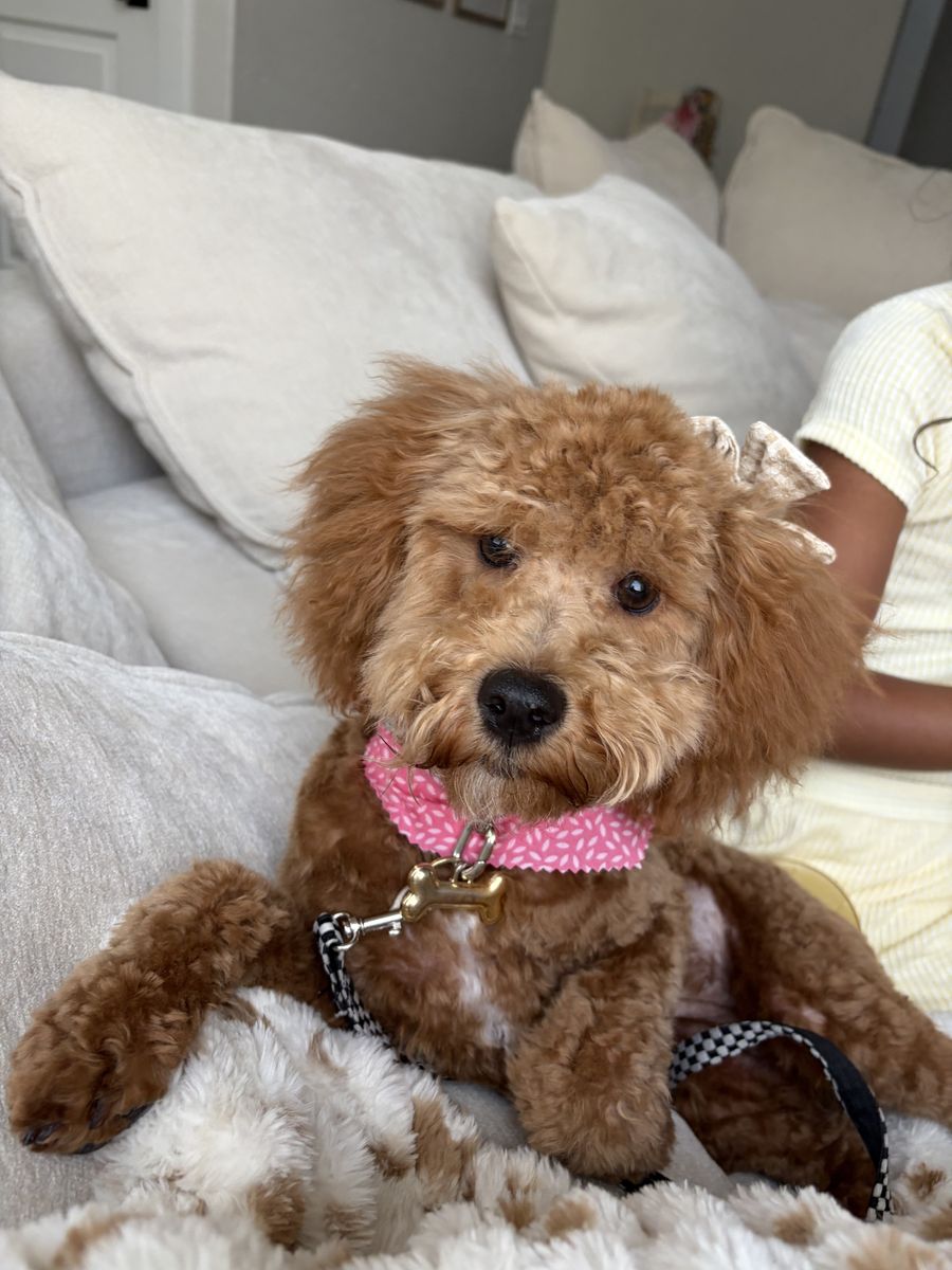 Main image 3