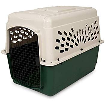 Dog Kennel