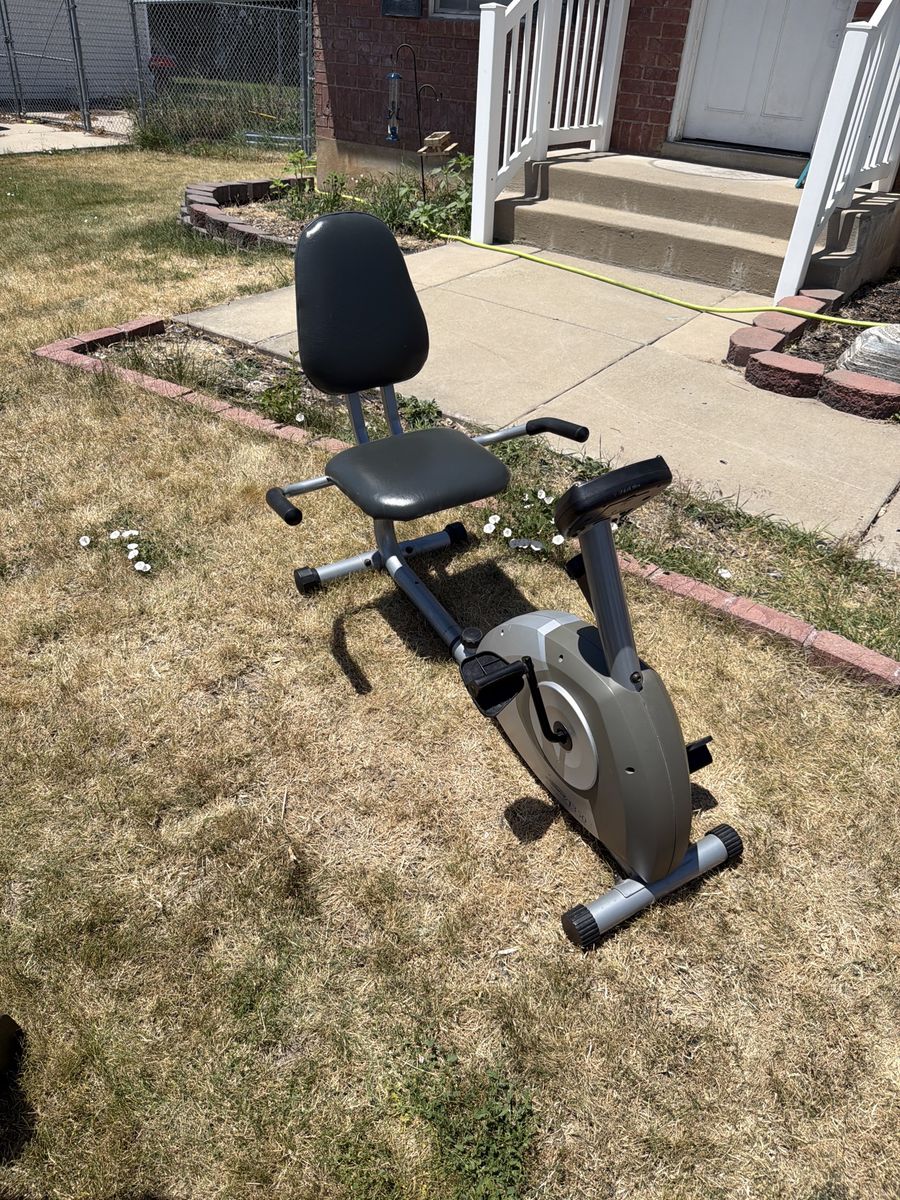 Recumbent Exercise Bike - Gray/Black - Cardio Fitness Workout Machine