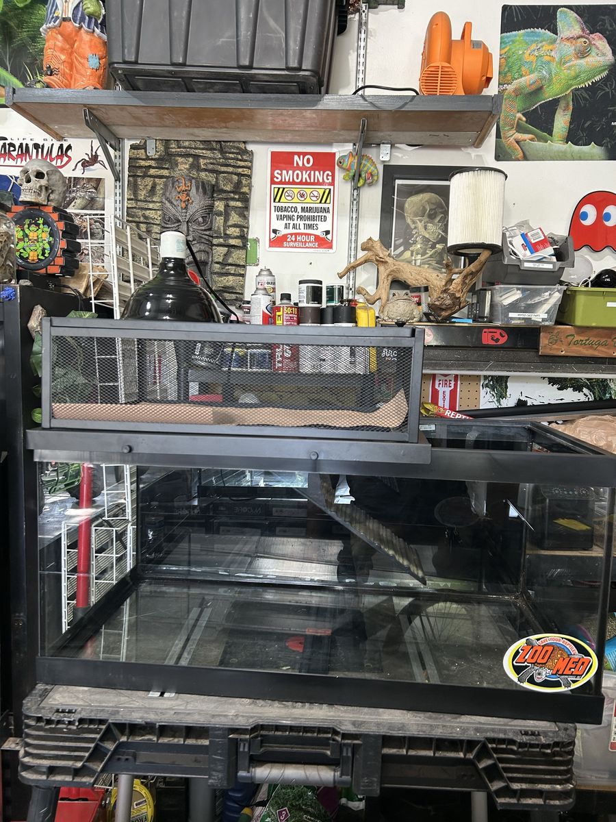 Turtle set up