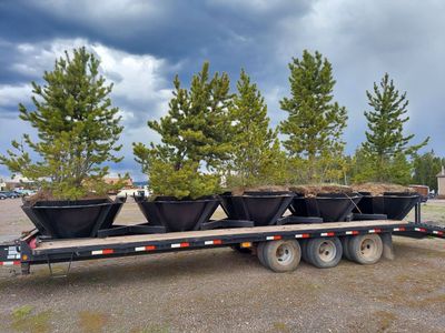 CAT 950 GC / Optimal 1700 Tree Spade