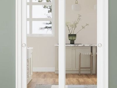 Bypass Mirrored Sliding Closet Door 48x80, Double Closet Panels with Hardware & Fascia, Full Mirror Interior Sliding Door for Be