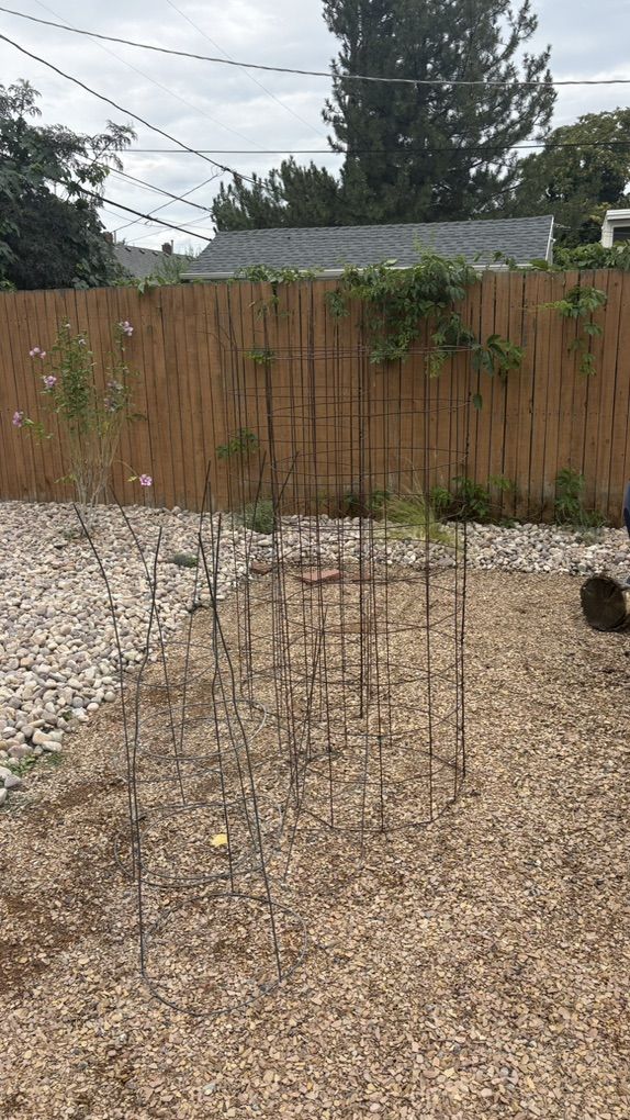 6 Garden Plant Cages (Free)