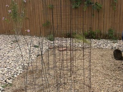 6 Garden Plant Cages (Free)