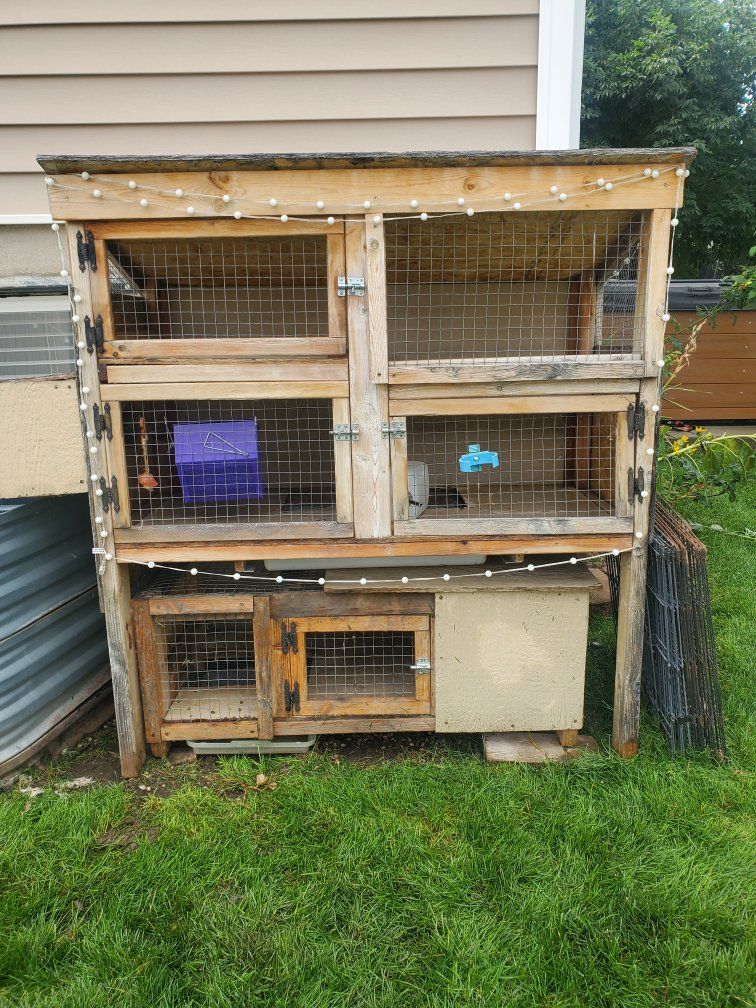 Custom high quality multi-rabbit bunny hutch