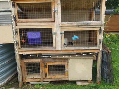 Custom high quality multi-rabbit bunny hutch