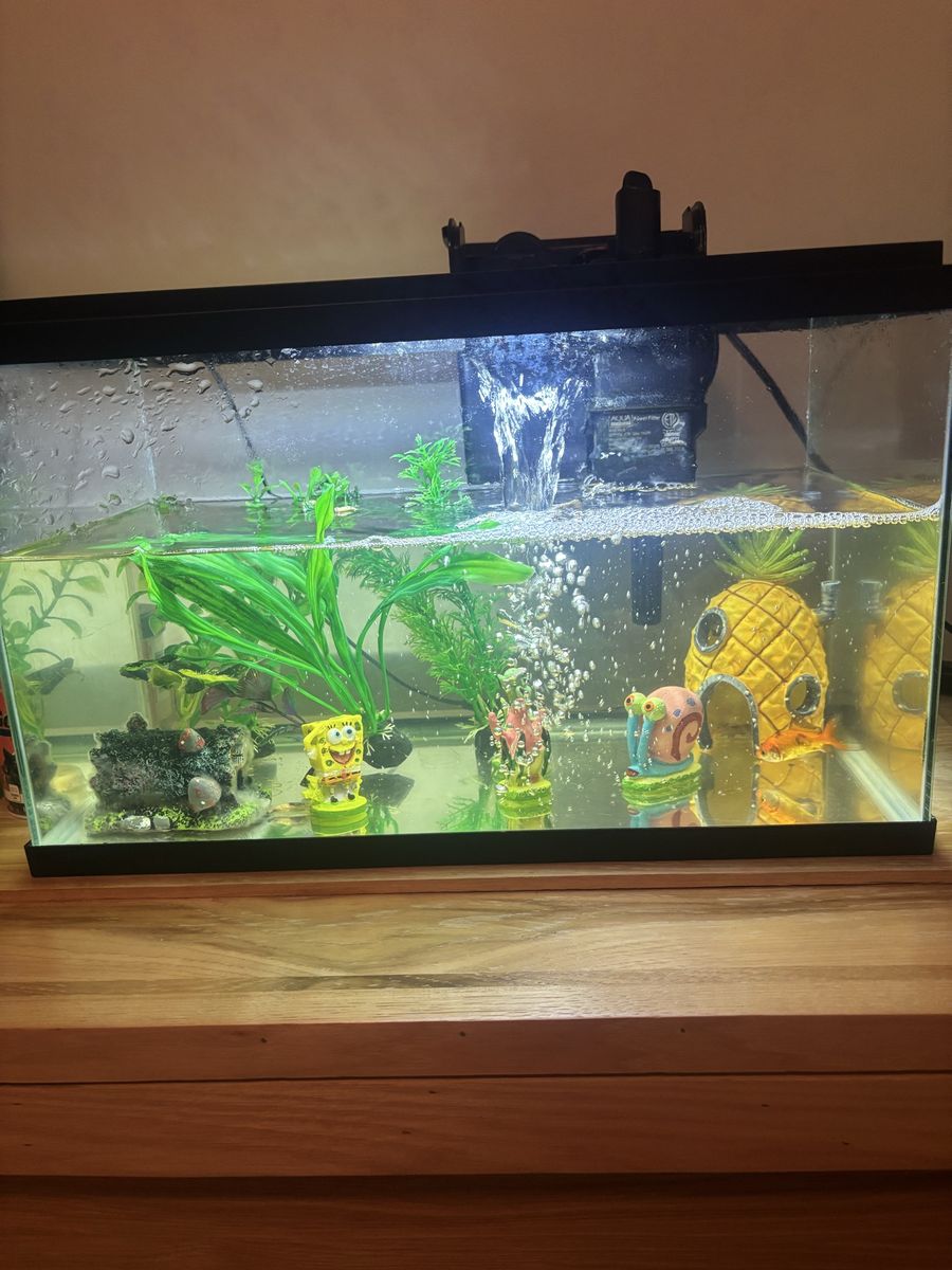 Fish Tank