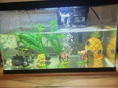 Fish Tank