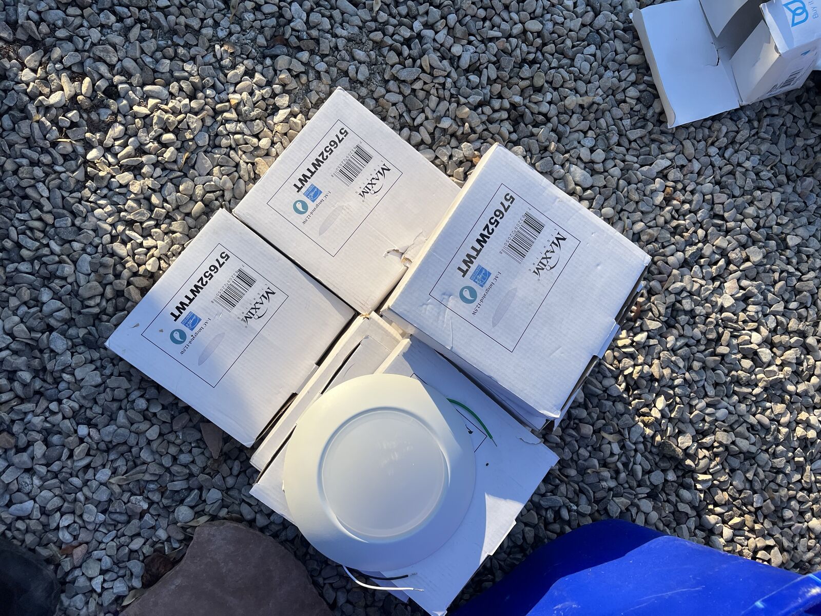 Maxim 57652WTWT lights