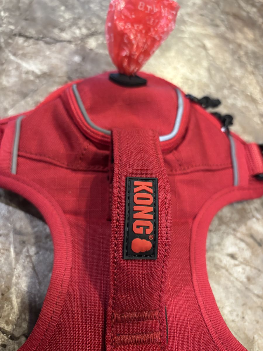 Kong harness and leash