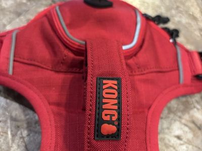 Kong harness and leash