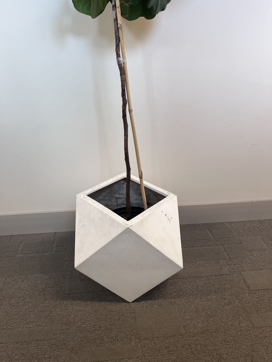 Main image 4