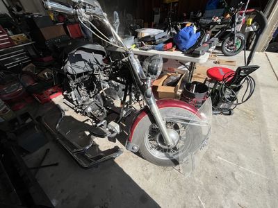 97 Harley EVO Softail classic