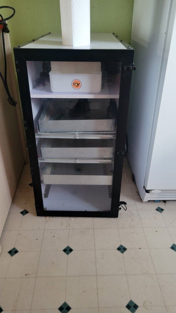 GQF Incubator and Dickies Incubator-Package Deal