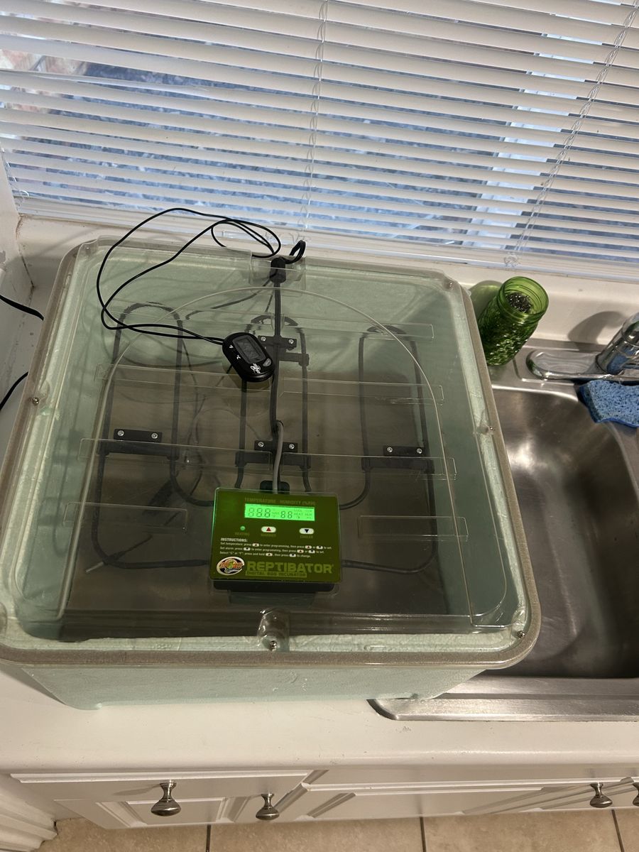 Zoomed incubator