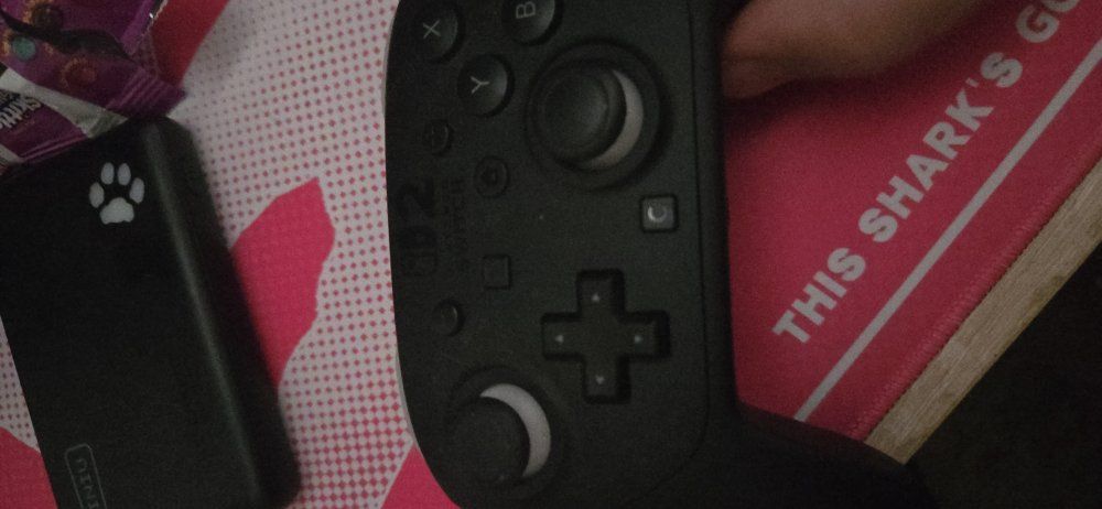 Nintendo Switch 2 Pro Controller + Game