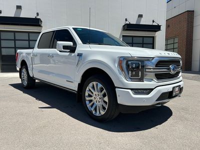 2023 Ford F-150 Limited