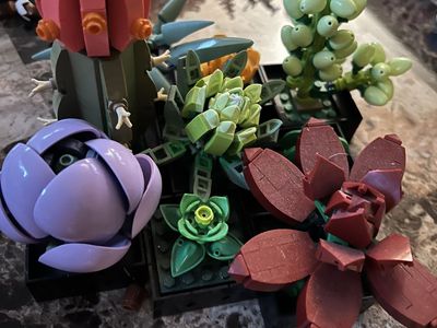 Lego Succulents