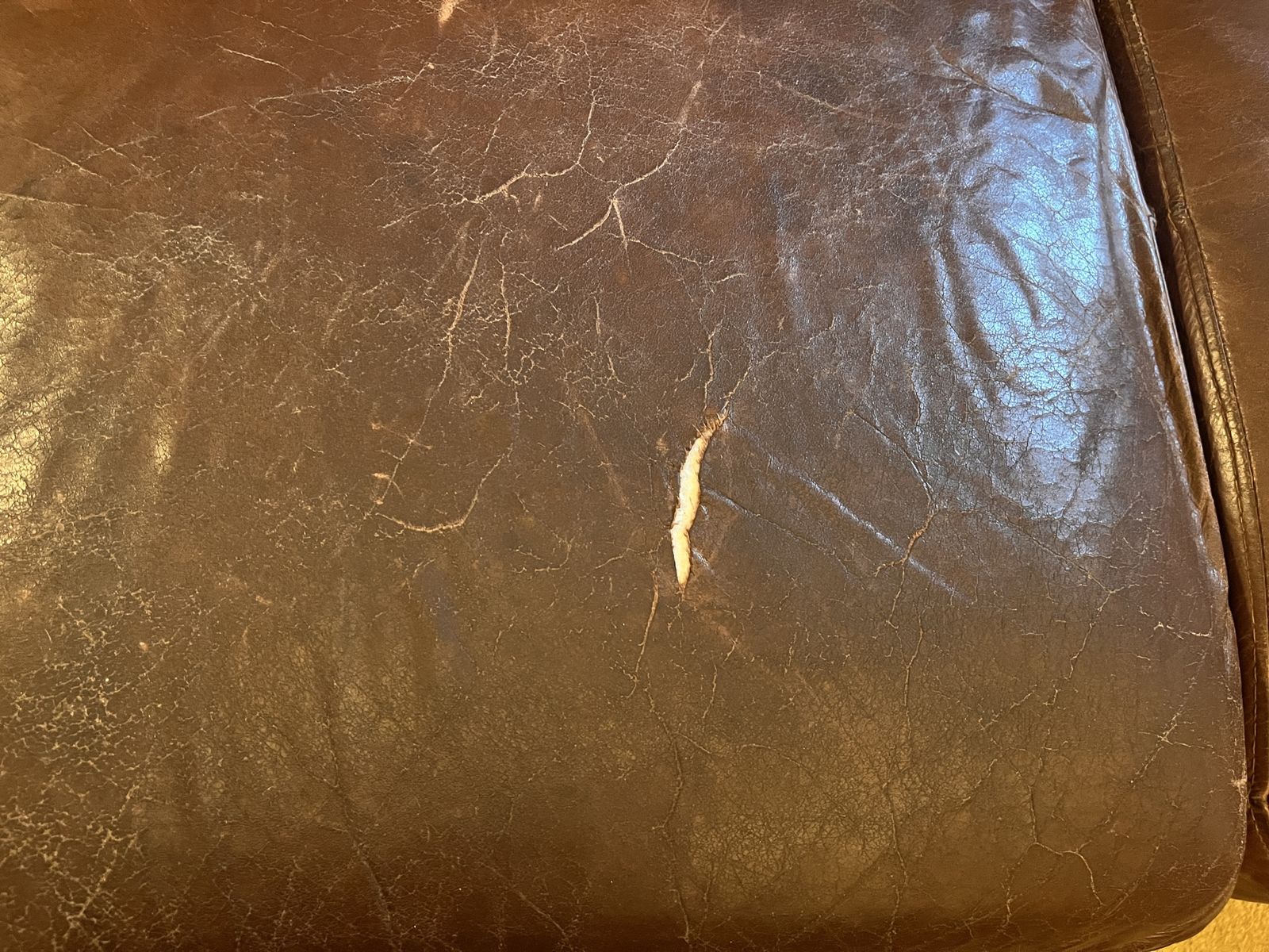 Main image 8