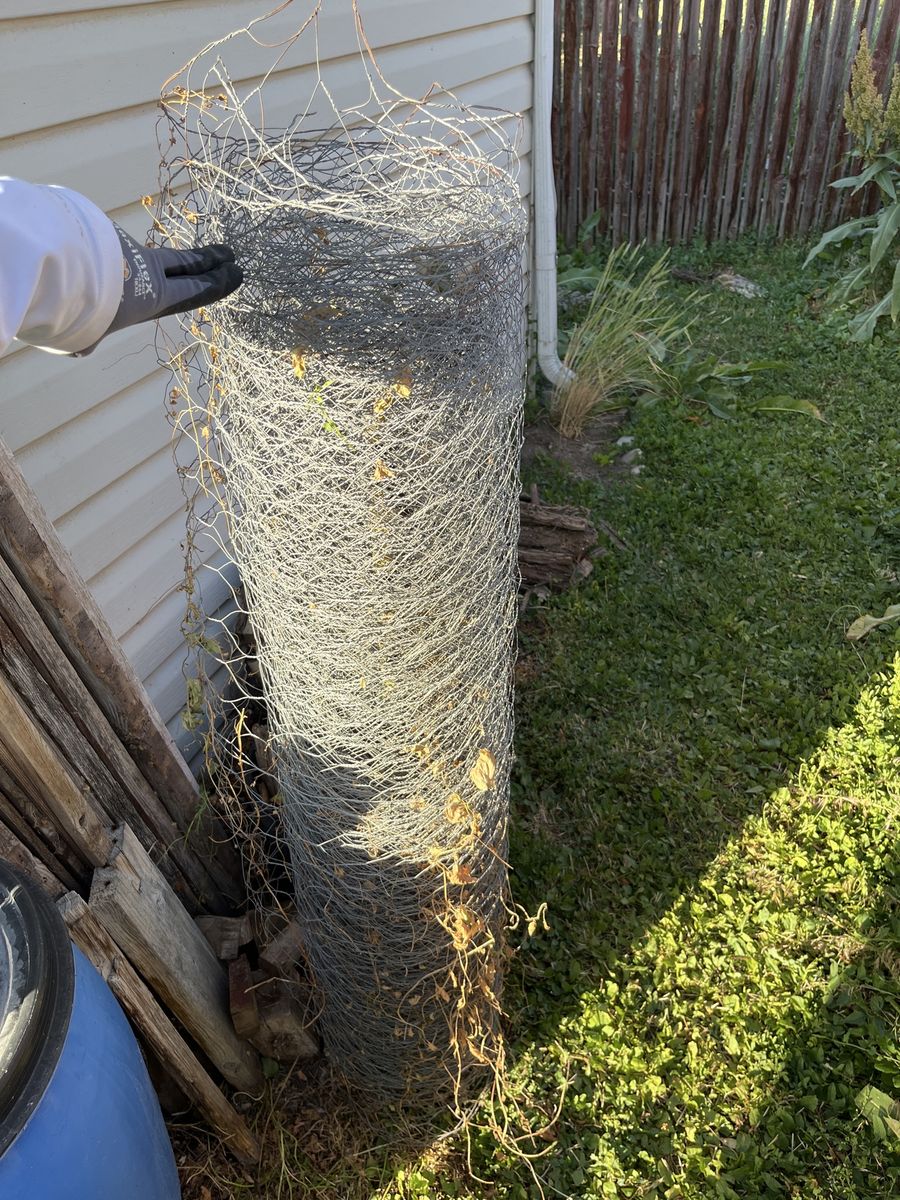 Used Chicken wire