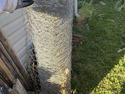 Used Chicken wire