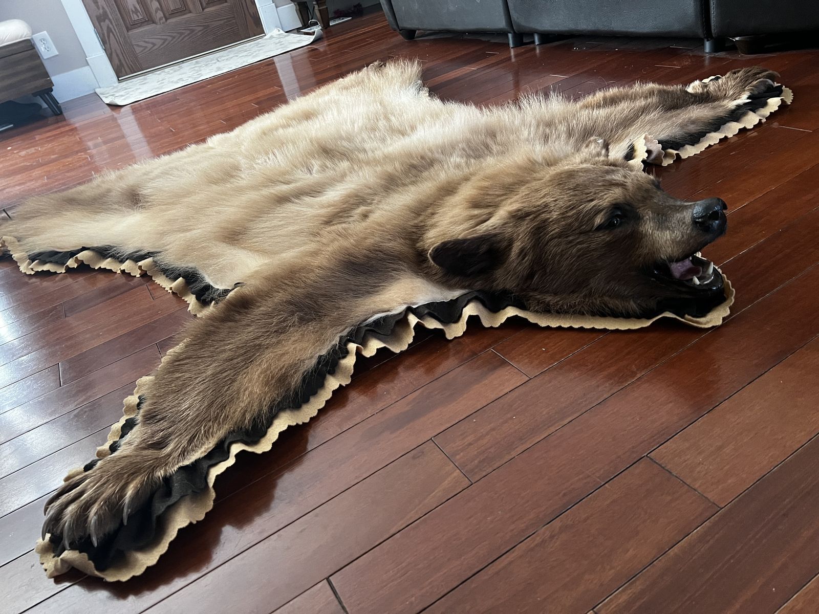 Blonde Black Bear Skin Rug Hide Taxidermy