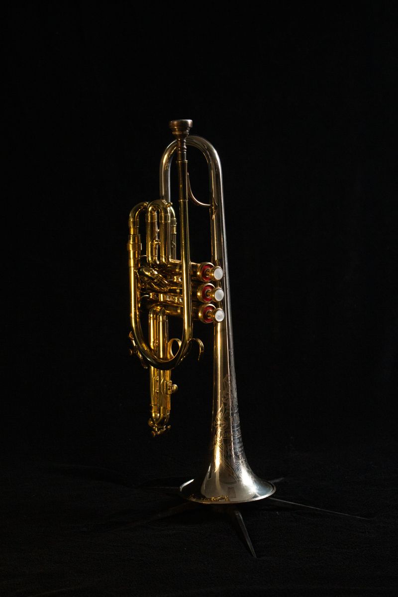 Cornet - King SilverSonic ($1250)