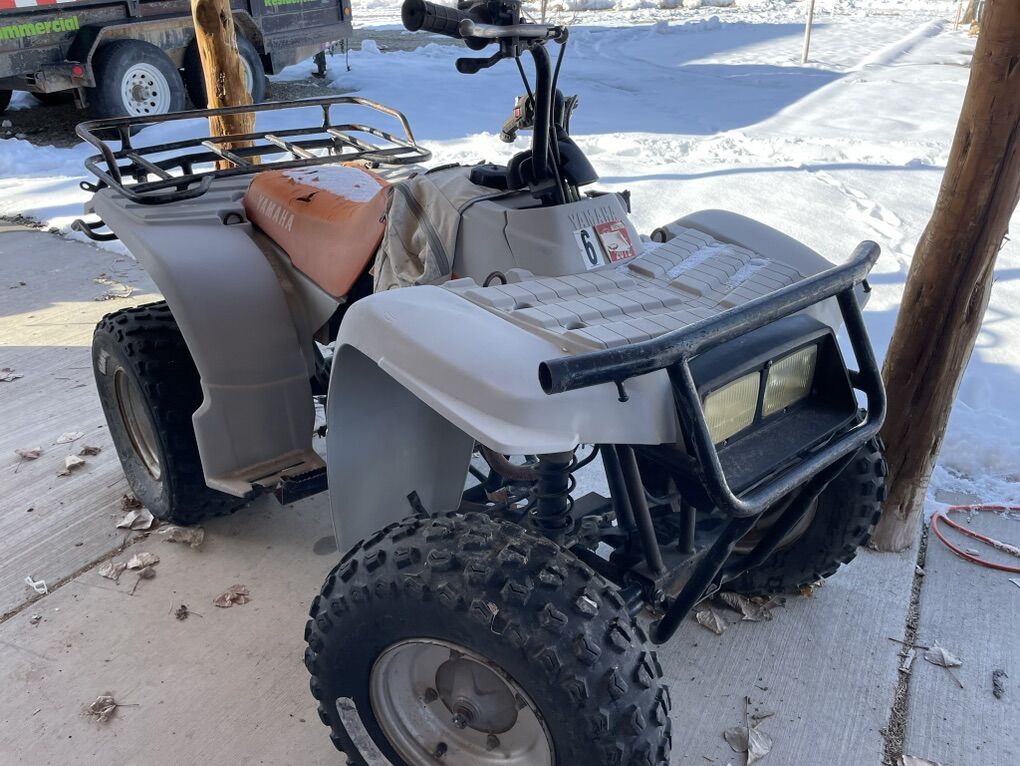 1992 Yamaha Timberwolf