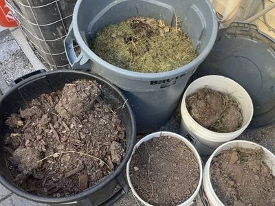 Free Dirt Soil Compost (More not in picture)