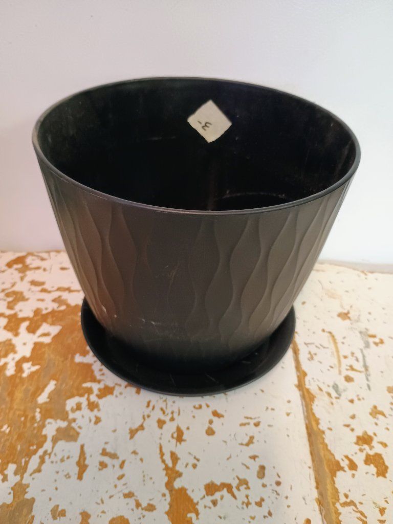 Plastic plant pot. 8" size