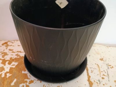 Plastic plant pot. 8" size