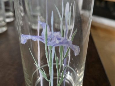 vintage iris glasses